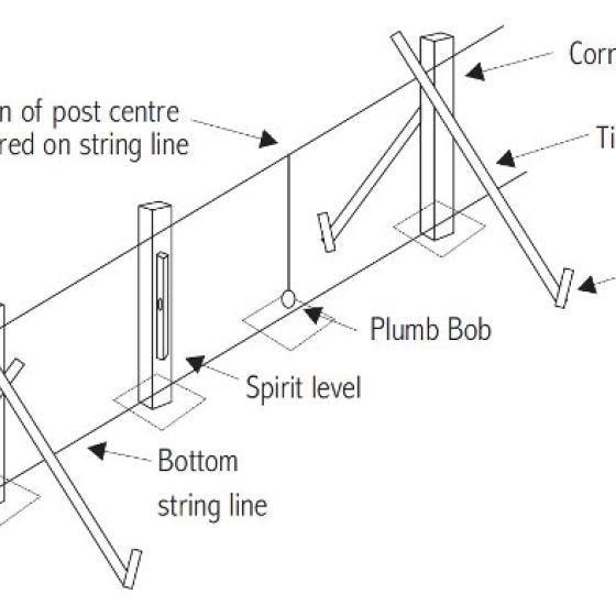 Setting out intermediate posts