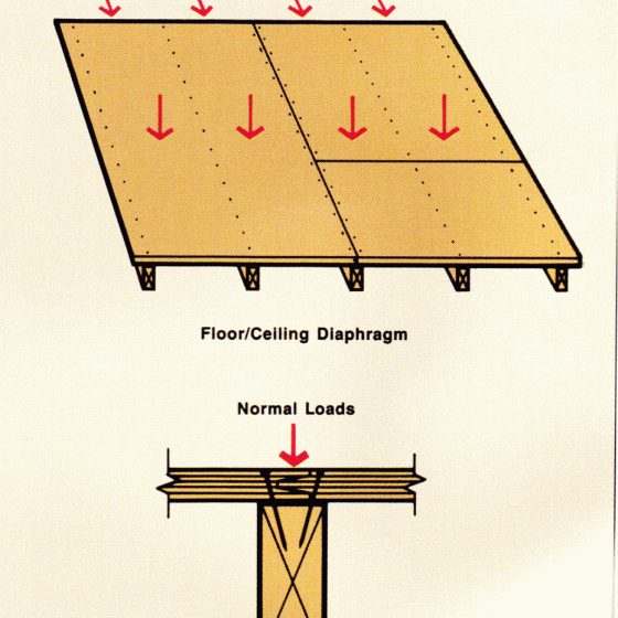 Shear Image 2