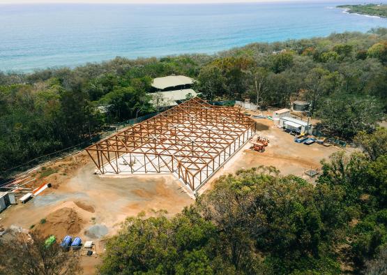 a structure under construction in a forest