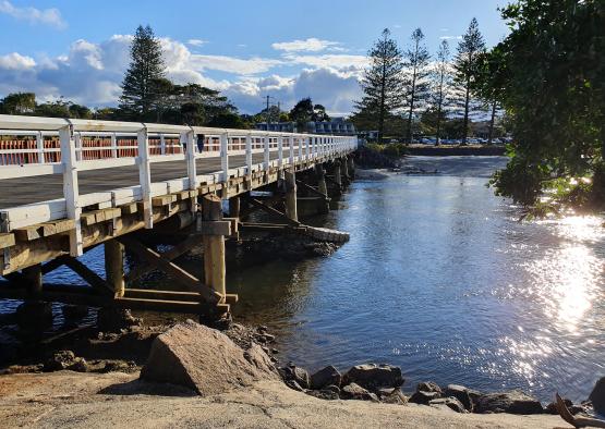 a bridge over water with trees and rocks