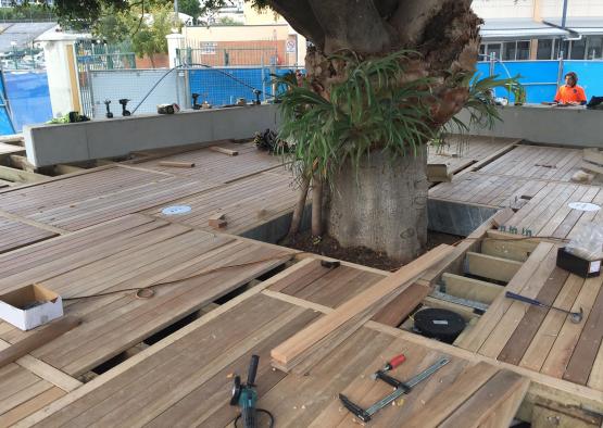 a wood deck under a tree