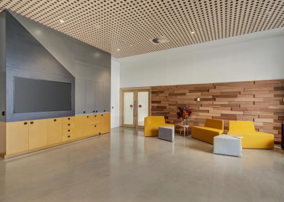 a room with yellow couches and a tv