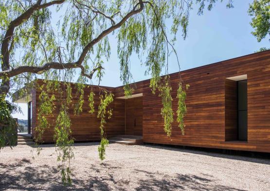 a tree with green leaves from the outside of a building