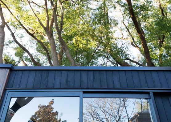 a window with trees in the background