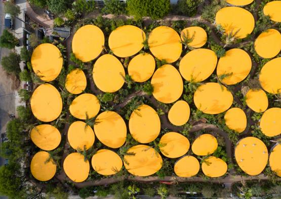 a aerial view of a garden