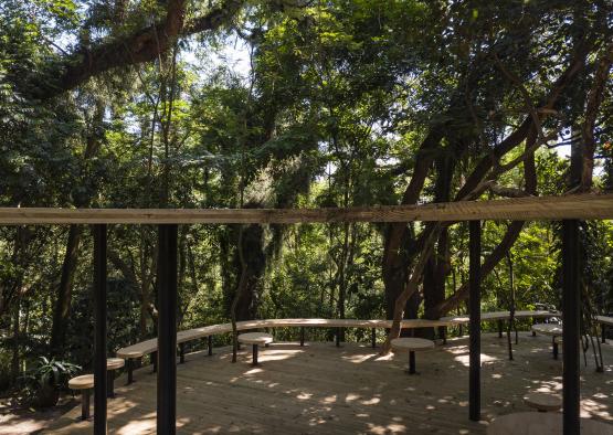 a wooden platform with benches and trees in the background