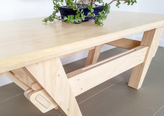 a wood coffee table with a plant on it